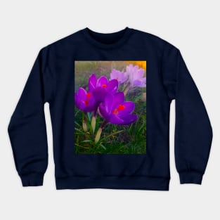 Blue Violet Crocus Flowers Magic Garden Crewneck Sweatshirt